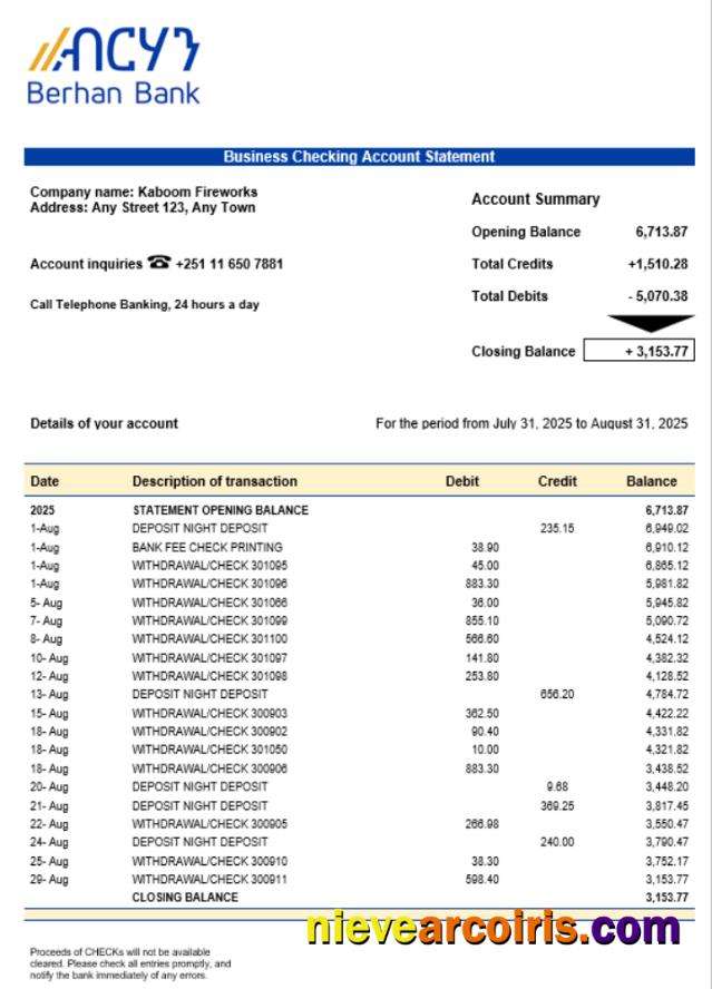 Berhan bank business firm account statement Word snd PDF format